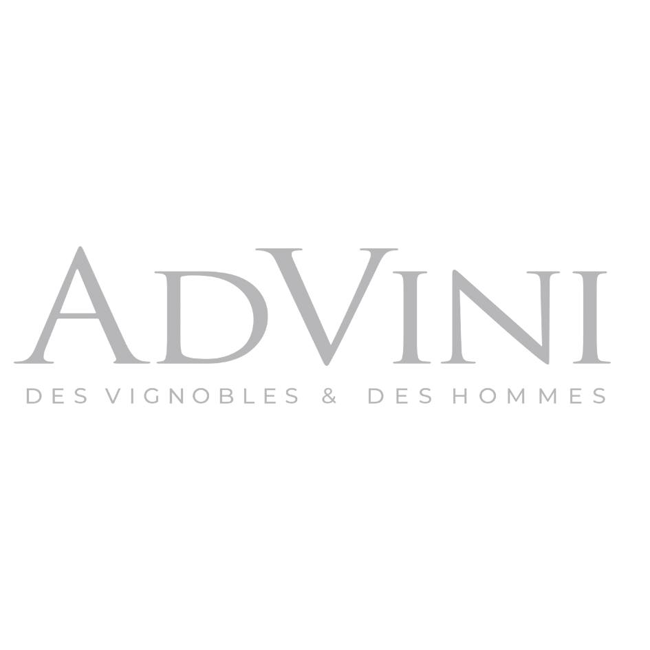 LOGO ADVINI, client de Stéphanie Groult Evènements