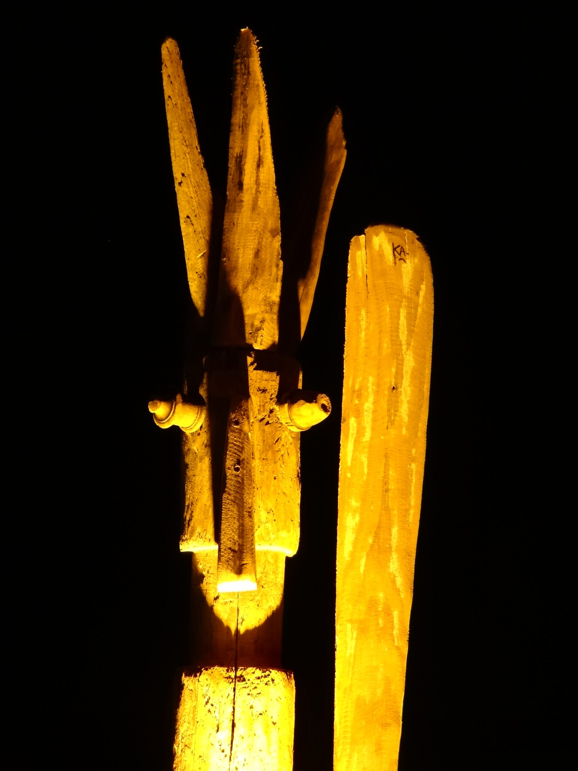 Décoration d'une plage privée, scénographie et bois flottés à Arcachon